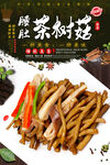 茶树菇