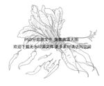 萝卜 辣椒插画