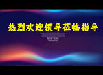 热烈欢迎领导莅临指导