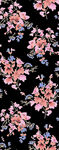 玫瑰花