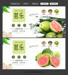 芭乐图片