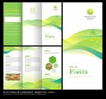 绿色简约三折页