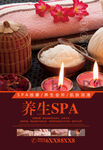 美容SPA