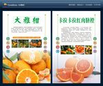 大雅柑脐橙简介海报