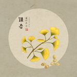 手绘银杏