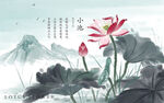 小池荷