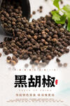 黑胡椒海报