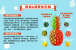 菠萝与凤梨
