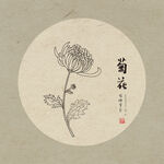 手绘菊花