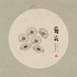 手绘菊花