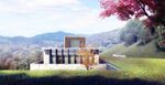 草地花卉