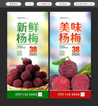 杨梅海报