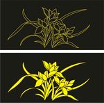 矢量兰花图片素材