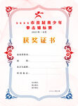 荣誉证书 获奖证书 
