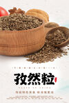 孜然粒海报 