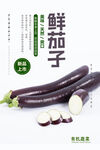 鲜茄子海报 