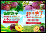 新鲜李子