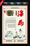 海马 中药材