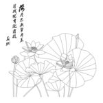 荷花 矢量图