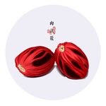 手绘肉豆蔻