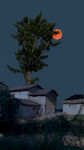乡村月夜