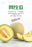 网纹瓜海报