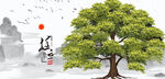 大树