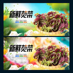 苋菜
