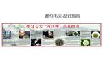 茶叶泡茶长图 绿茶 都匀毛尖茶