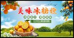冰糖橙