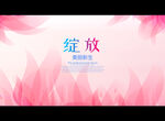 绽放