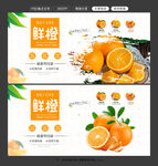 鲜橙图片