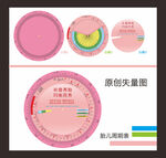胎儿周期表
