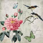 欧美花鸟装饰画