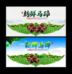 马蹄