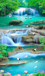 流水梦幻丛林地画