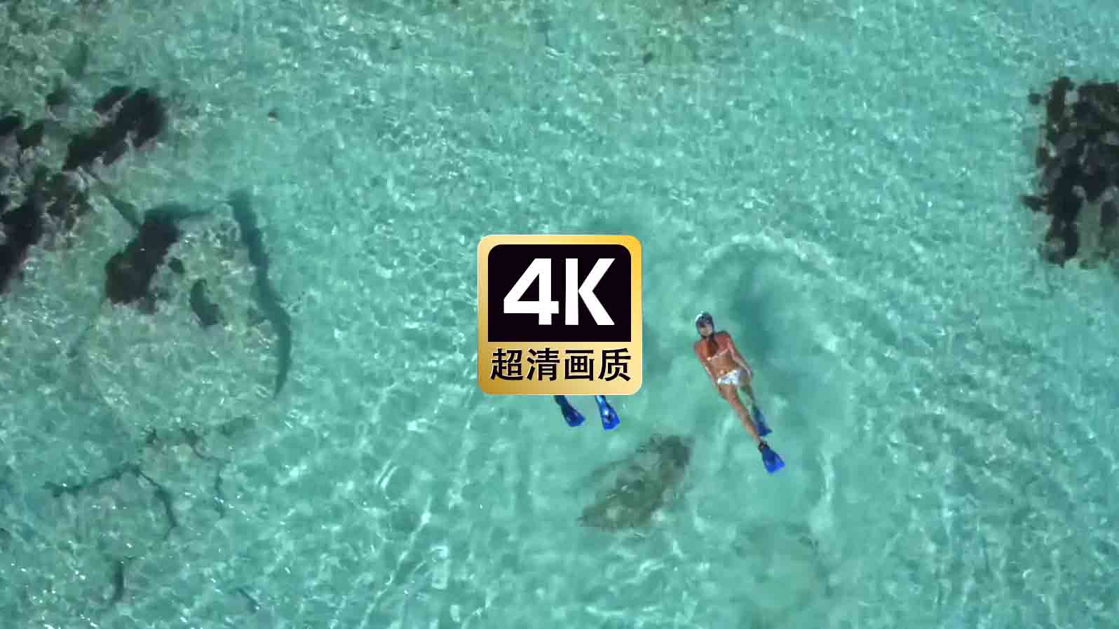 短视频素材海边游泳的情侣