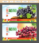 葡萄海报
