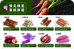 常见根茎山药