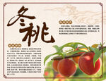 富硒冬桃