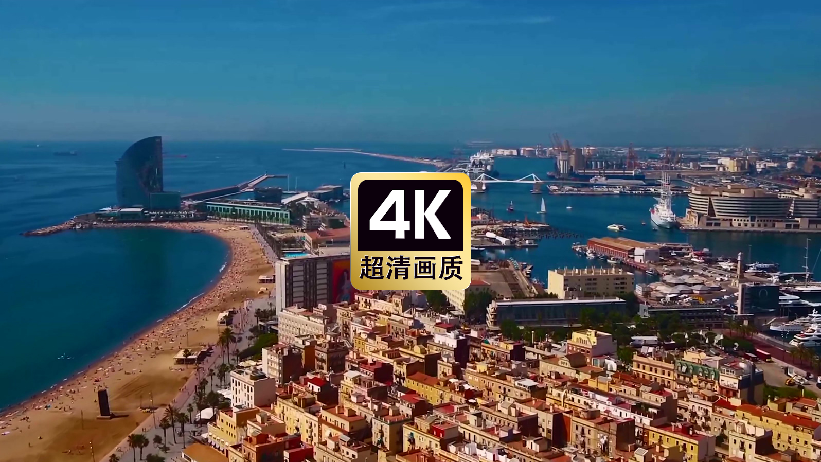 短视频素材航拍海港城市风景