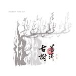 古树普洱茶