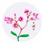 手绘罗布麻