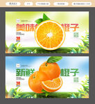 橙子
