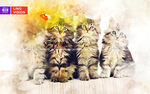 猫