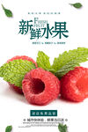红树莓海报 
