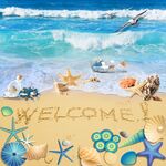 沙滩海水贝壳