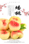 蟠桃海报 