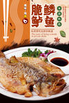 脆鳞鲈鱼