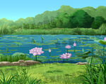 夏日菏塘